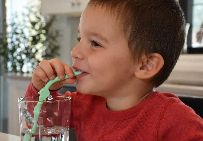 Melii 6 Silicone Straws with Cleaning Brush - Animals clip DesignNursing & FeedingBabies and kids can have fun sipping on their favorite drinks with our animal-shaped, multi-coloured, 100% food grade silicone straws! Includes a bulldog, cat, shark, dinosa