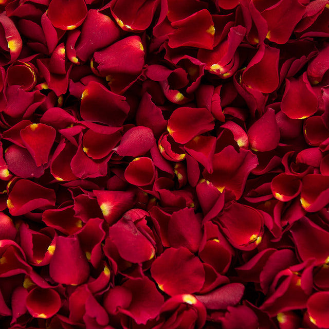 Half Kg Rose PetalsFlowersFresh Rose Petals Color : Red Weight : Half Kg