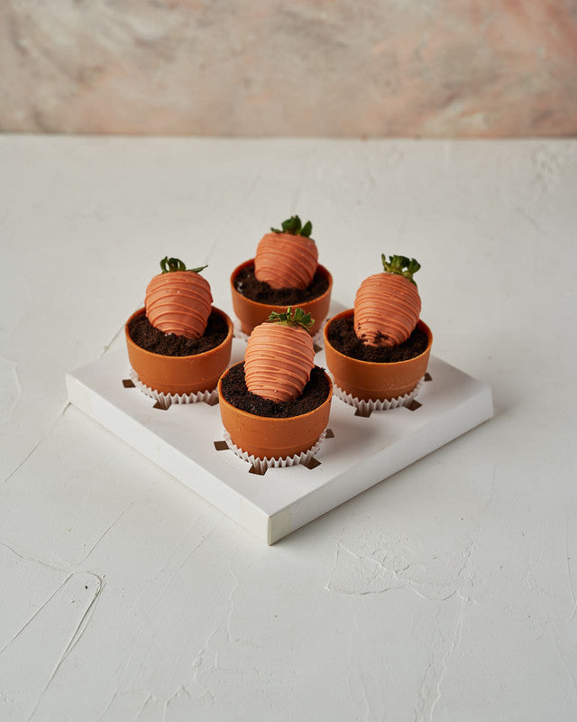 Carrots and CakesChocolate & ConfectioneryYour Gift Contains: • 4 chocolate covered strawberries • Edible Pots with vanilla and hazelnut ganache • Box Size: 18x18x18cm Handling and Storage • Keep away from direct heat and sunlight • Best stored between 8-