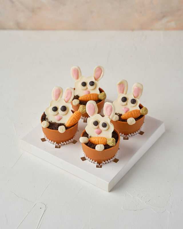 Bunny in PotsChocolate & ConfectioneryYour Gift Contains: • 4 White chocolate bunny face • Edible Pots with vanilla and hazelnut ganache • Box Size: 18x18x18cm Handling and Storage • Keep away from direct heat and sunlight • Best stored between 8-15 °C •