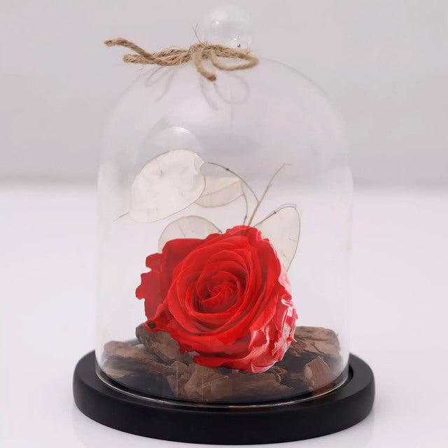 Red Forever infinity preserved Rose In Glass DomeFlowersOne Forever Rose Colour- Red Comes in a High Quality Glass Dome Glass Dome is put on a Wooden LID Base
